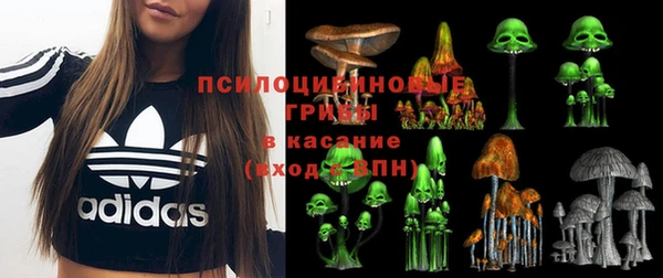 эйфоретик Абаза